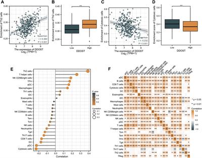 Prognostic Biomarker DDOST and Its Correlation With Immune Infiltrates in Hepatocellular Carcinoma